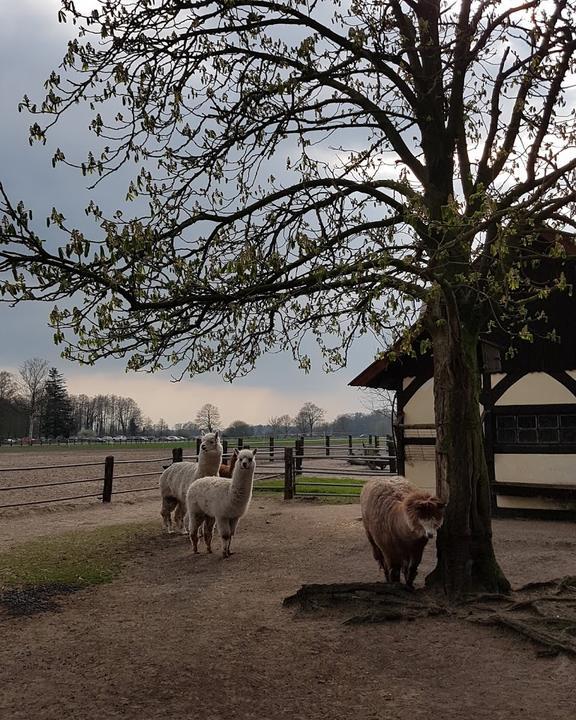 Tierpark-Restaurant